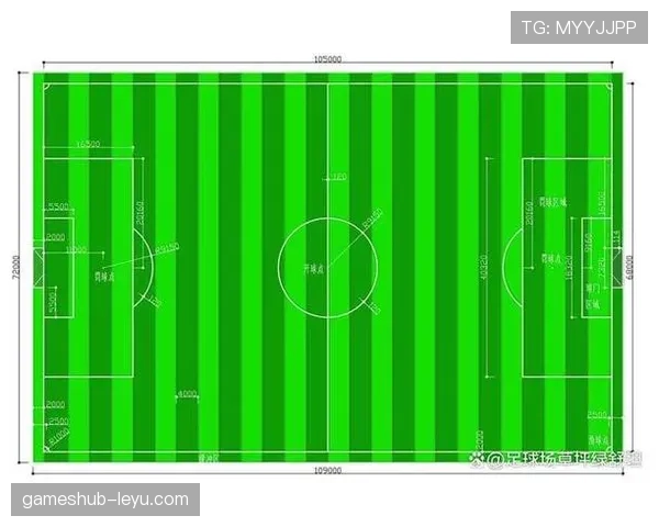标准足球场尺寸规则详解:长宽多少才算合规? 标准足球场尺寸规则详解:长宽多少才算合规?